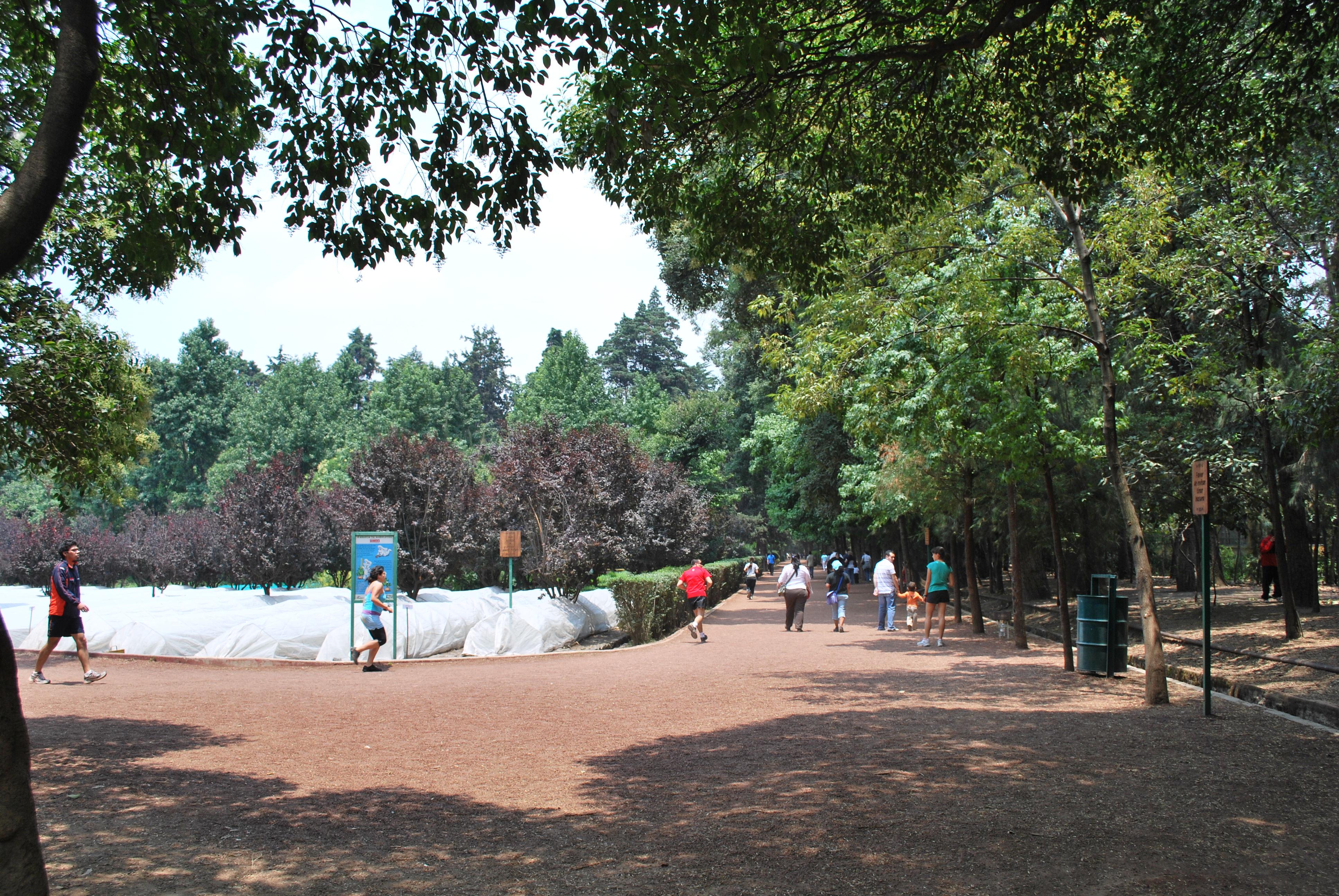 Museo de El Carmen